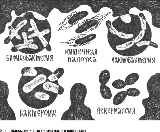Против часовой стрелки Против часовой стрелки