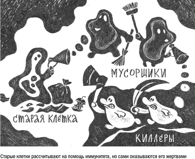 Против часовой стрелки Против часовой стрелки