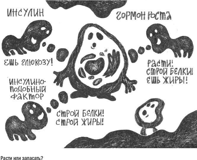 Против часовой стрелки Против часовой стрелки