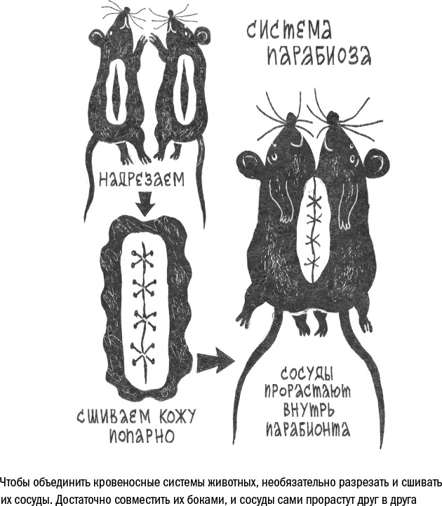 Против часовой стрелки