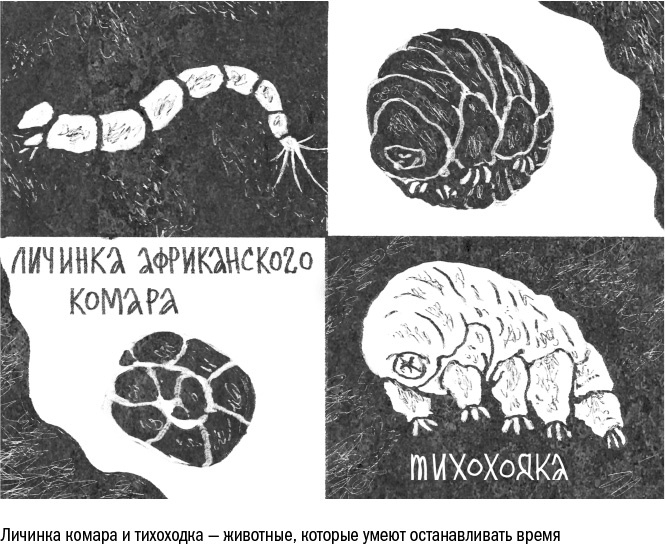 Против часовой стрелки