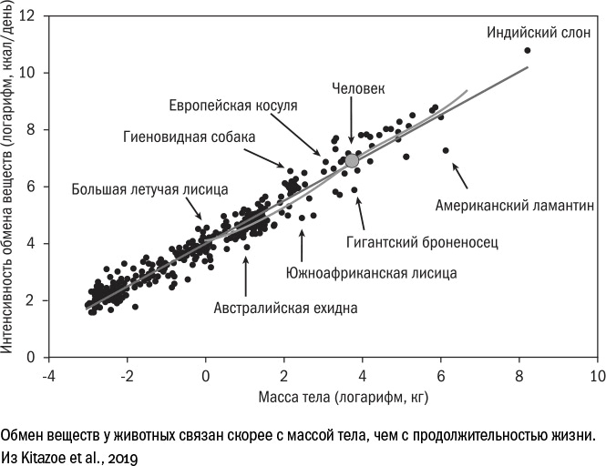 Против часовой стрелки Против часовой стрелки