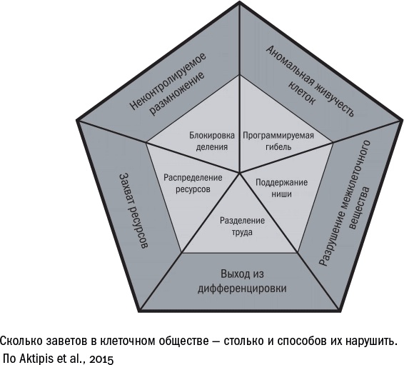 Против часовой стрелки Против часовой стрелки