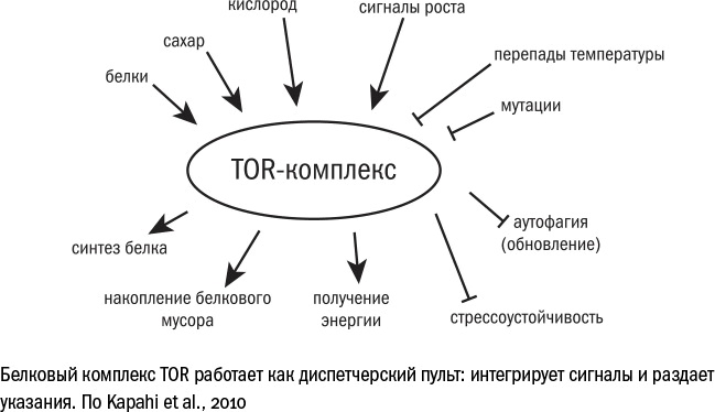 Против часовой стрелки