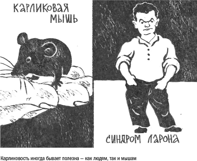 Против часовой стрелки Против часовой стрелки