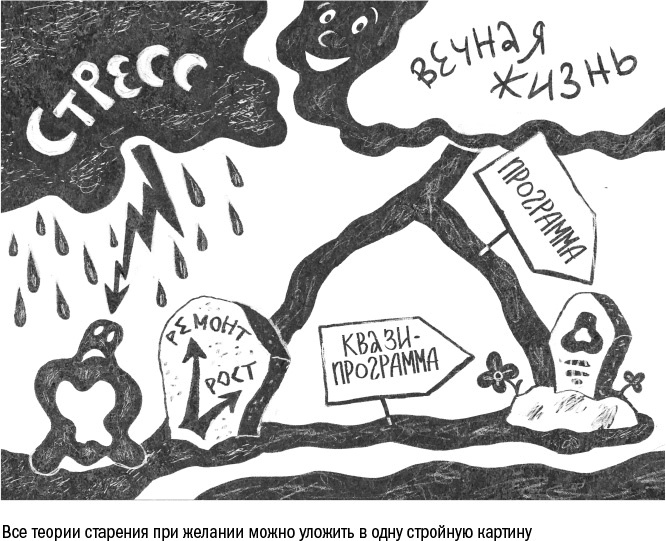 Против часовой стрелки Против часовой стрелки