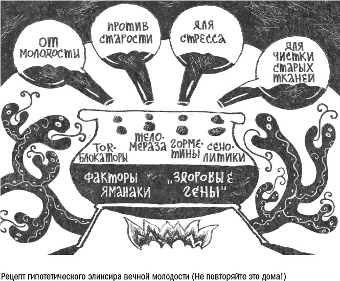 Против часовой стрелки Против часовой стрелки
