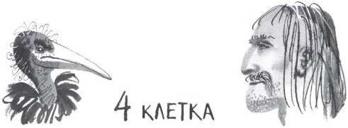 Брат-юннат Брат-юннат