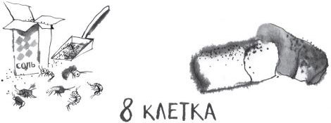 Брат-юннат Брат-юннат