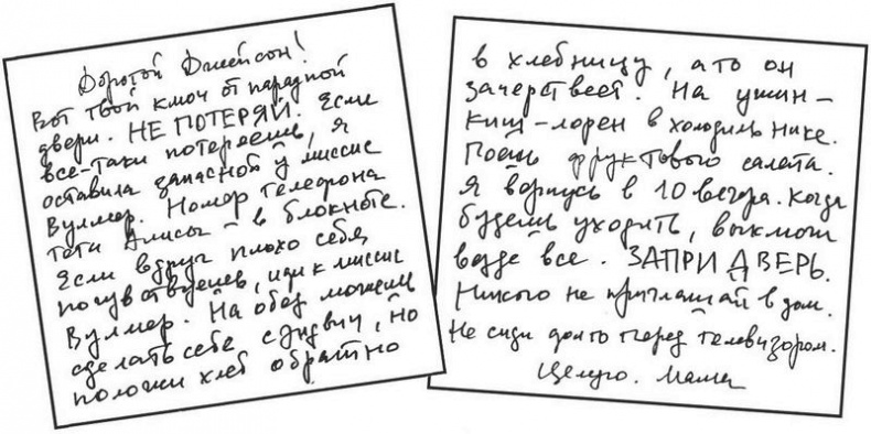 Под знаком черного лебедя Под знаком черного лебедя
