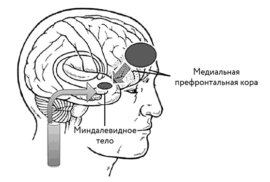 Тело помнит все Тело помнит все