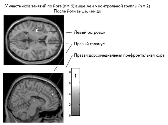 Тело помнит все Тело помнит все