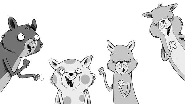 Кошачий секрет Кошачий секрет