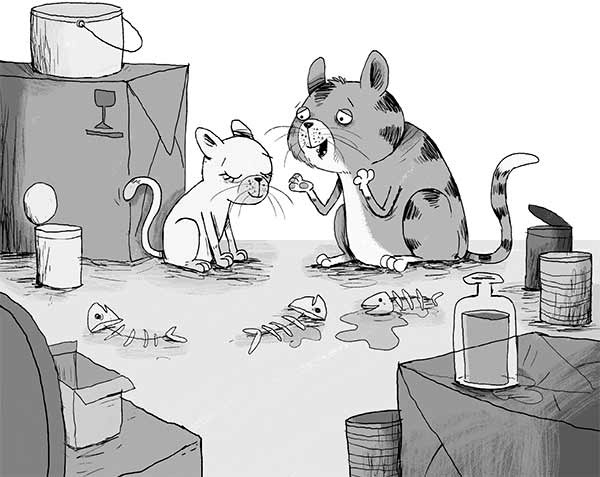 Кошачий секрет Кошачий секрет