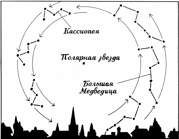 Супернавигаторы. О чудесах навигации в животном мире