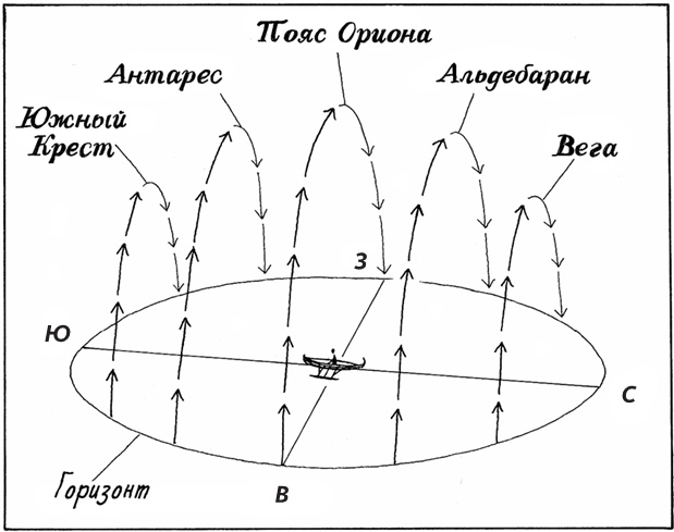 Супернавигаторы. О чудесах навигации в животном мире