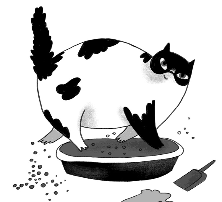 КОТоЛОГИКА. О чем молчит кошка КОТоЛОГИКА. О чем молчит кошка