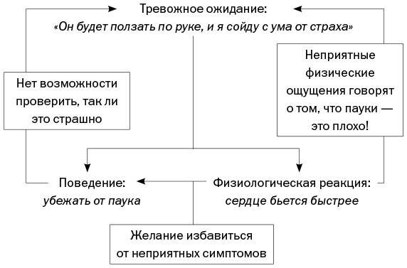 Спокойные. Как помочь детям справиться со страхами и тревогой Спокойные. Как помочь детям справиться со страхами и тревогой