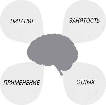 Как генерить свежие идеи Как генерить свежие идеи