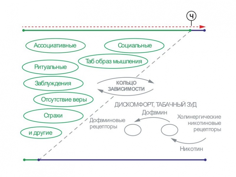 Бросаем курить за два вечера. Как избавиться от зависимости, а не просто перестать покупать сигареты Бросаем курить за два вечера. Как избавиться от зависимости, а не просто перестать покупать сигареты