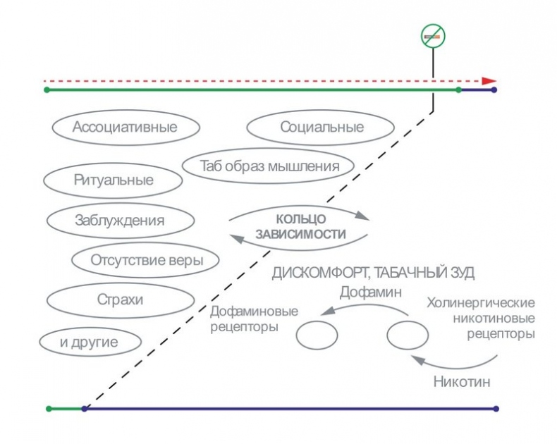 Бросаем курить за два вечера. Как избавиться от зависимости, а не просто перестать покупать сигареты Бросаем курить за два вечера. Как избавиться от зависимости, а не просто перестать покупать сигареты