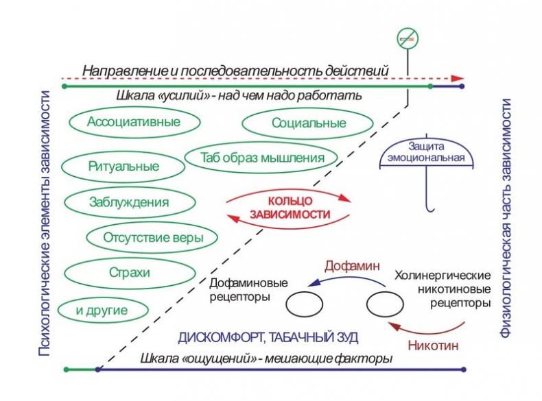 Бросаем курить за два вечера. Как избавиться от зависимости, а не просто перестать покупать сигареты Бросаем курить за два вечера. Как избавиться от зависимости, а не просто перестать покупать сигареты