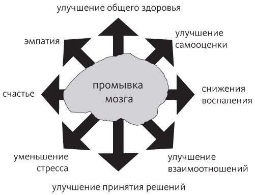 Промывка мозга. Программа для ясного мышления, укрепления отношений с людьми и развития полезных привычек Промывка мозга. Программа для ясного мышления, укрепления отношений с людьми и развития полезных привычек