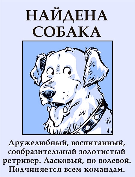 Секрет звёздного пса Секрет звёздного пса