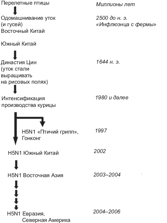Выжить в пандемию Выжить в пандемию