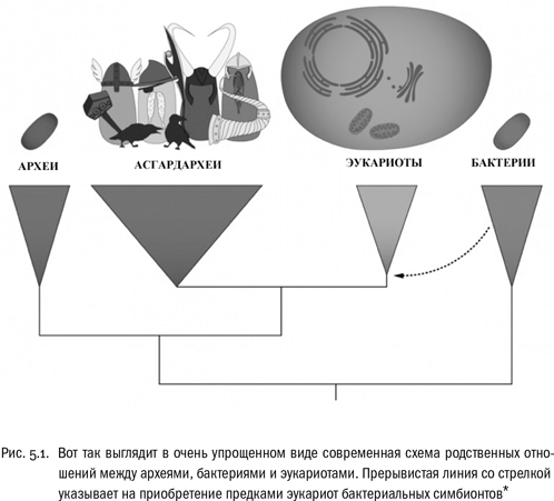 Евангелие от LUCA. В поисках родословной животного мира Евангелие от LUCA. В поисках родословной животного мира