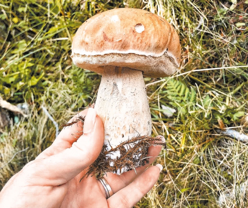 Франция, которую вы не знали Франция, которую вы не знали