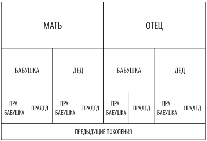 Идеальная ставка Идеальная ставка