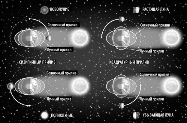 Взламывая планету Земля Взламывая планету Земля