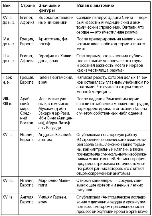 Взламывая анатомию Взламывая анатомию