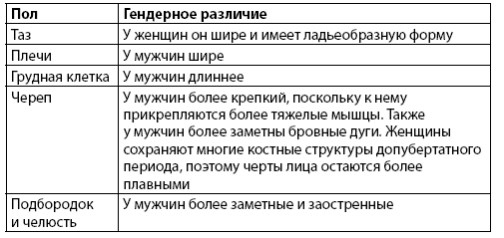 Взламывая анатомию Взламывая анатомию