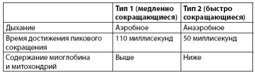 Взламывая анатомию Взламывая анатомию