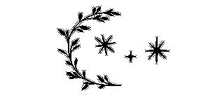 Сестра звёзд Сестра звёзд