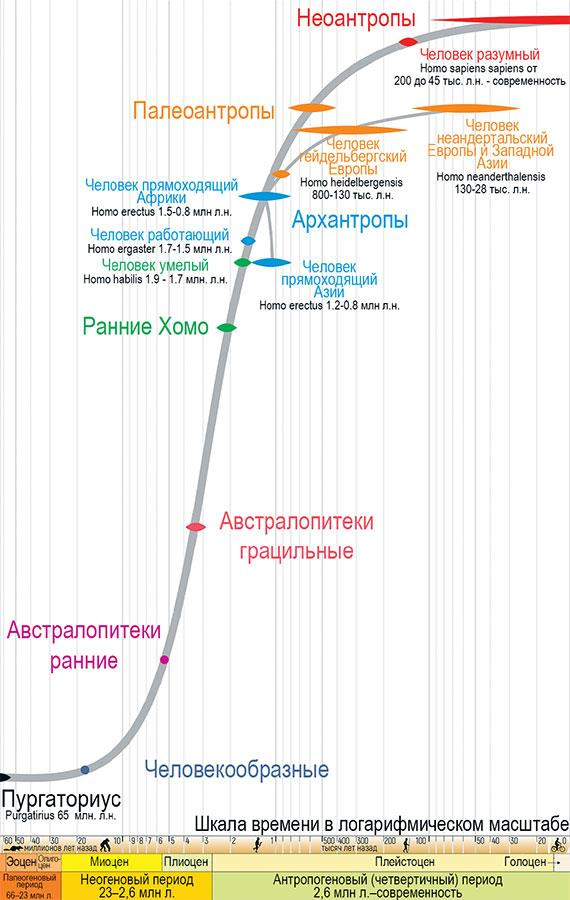 Формула Бога. Эволюция религии, культуры и этики в эпоху технологической сингулярности и бессмертия Формула Бога. Эволюция религии, культуры и этики в эпоху технологической сингулярности и бессмертия