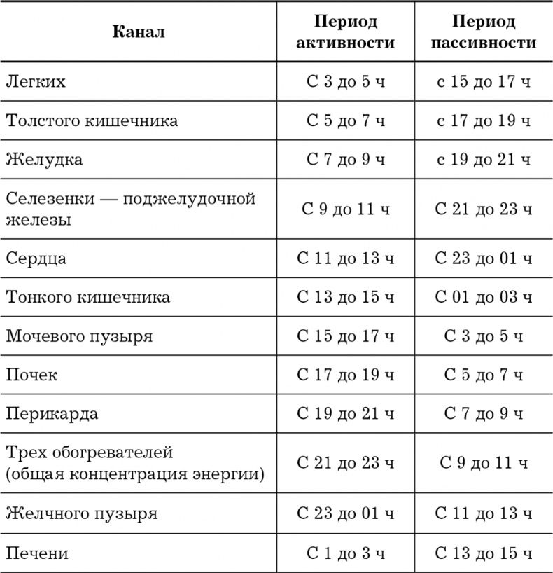 Большой самоучитель исцеляющих точек. Подробный атлас, приемы и упражнения Большой самоучитель исцеляющих точек. Подробный атлас, приемы и упражнения