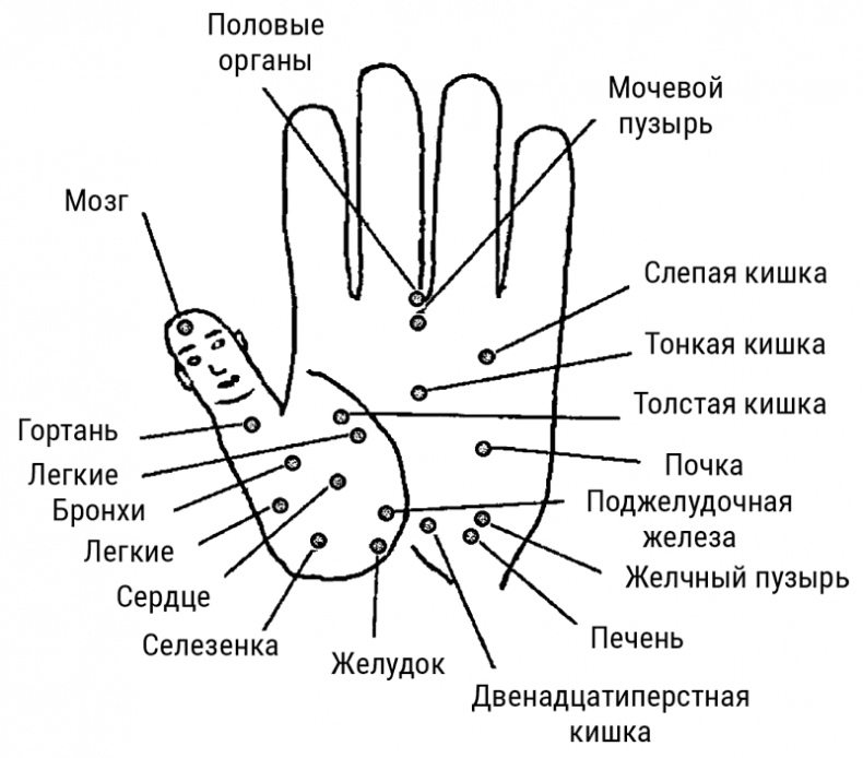 Большой самоучитель исцеляющих точек. Подробный атлас, приемы и упражнения Большой самоучитель исцеляющих точек. Подробный атлас, приемы и упражнения
