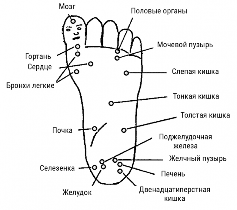 Большой самоучитель исцеляющих точек. Подробный атлас, приемы и упражнения Большой самоучитель исцеляющих точек. Подробный атлас, приемы и упражнения