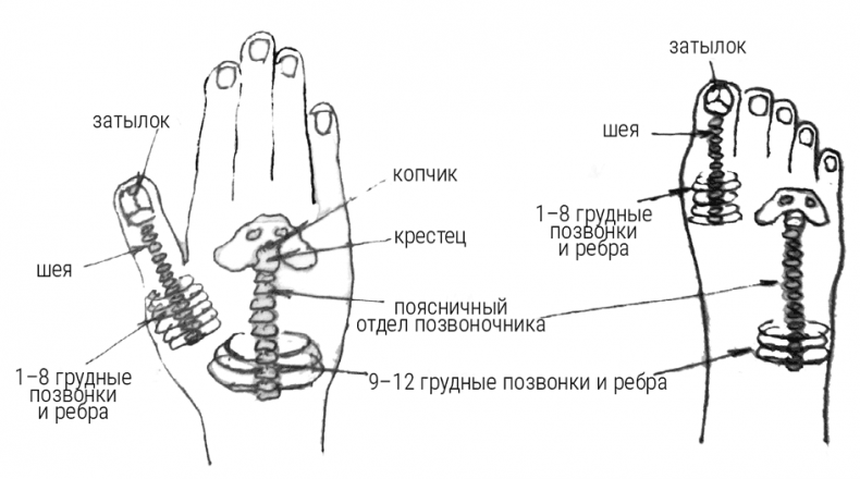 Большой самоучитель исцеляющих точек. Подробный атлас, приемы и упражнения Большой самоучитель исцеляющих точек. Подробный атлас, приемы и упражнения