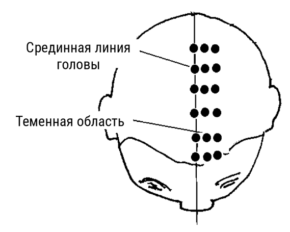 Большой самоучитель исцеляющих точек. Подробный атлас, приемы и упражнения Большой самоучитель исцеляющих точек. Подробный атлас, приемы и упражнения
