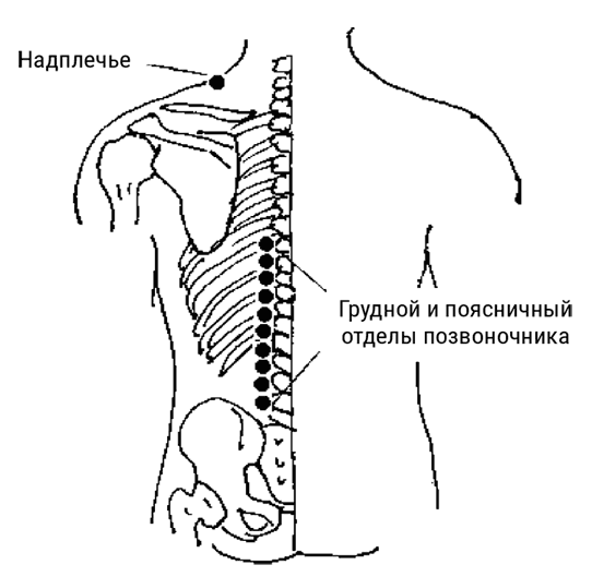 Большой самоучитель исцеляющих точек. Подробный атлас, приемы и упражнения Большой самоучитель исцеляющих точек. Подробный атлас, приемы и упражнения