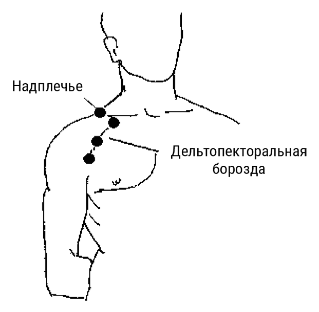 Большой самоучитель исцеляющих точек. Подробный атлас, приемы и упражнения Большой самоучитель исцеляющих точек. Подробный атлас, приемы и упражнения