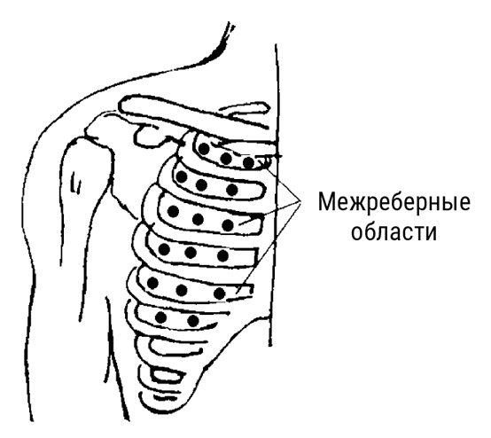 Большой самоучитель исцеляющих точек. Подробный атлас, приемы и упражнения Большой самоучитель исцеляющих точек. Подробный атлас, приемы и упражнения