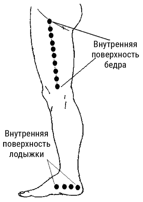 Большой самоучитель исцеляющих точек. Подробный атлас, приемы и упражнения Большой самоучитель исцеляющих точек. Подробный атлас, приемы и упражнения