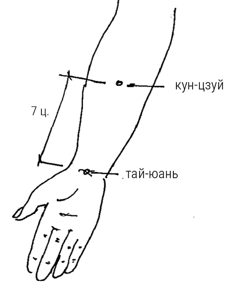 Большой самоучитель исцеляющих точек. Подробный атлас, приемы и упражнения Большой самоучитель исцеляющих точек. Подробный атлас, приемы и упражнения