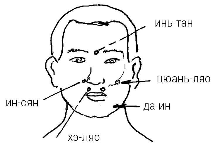 Большой самоучитель исцеляющих точек. Подробный атлас, приемы и упражнения Большой самоучитель исцеляющих точек. Подробный атлас, приемы и упражнения