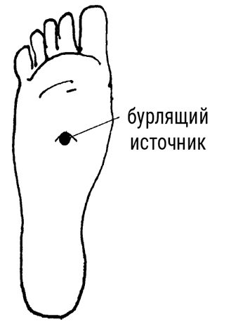 Большой самоучитель исцеляющих точек. Подробный атлас, приемы и упражнения Большой самоучитель исцеляющих точек. Подробный атлас, приемы и упражнения